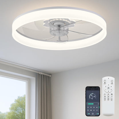 20" Ceiling Fan with Light
