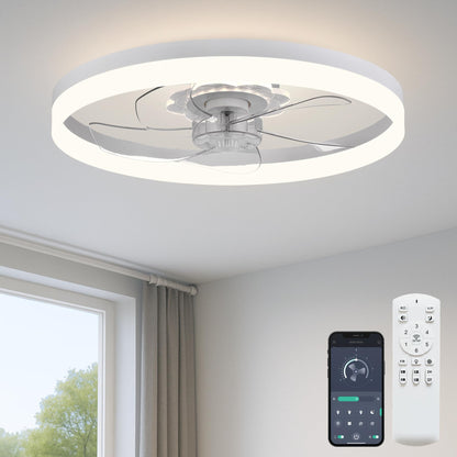 20" Ceiling Fan with Light