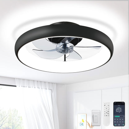 20" Black Ceiling Fan Light