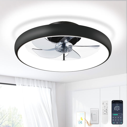 20" Black Ceiling Fan Light