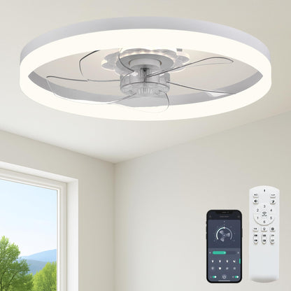 20" Ceiling Fan with Light