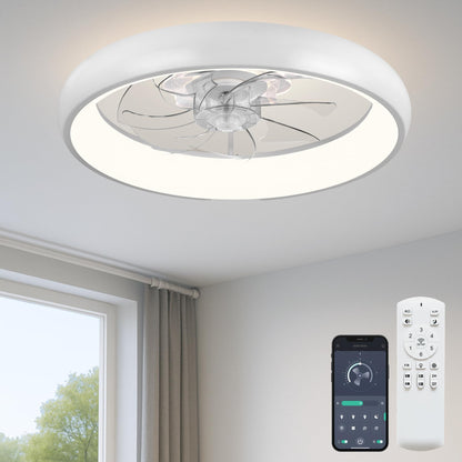 20" Ceiling Fan with Light