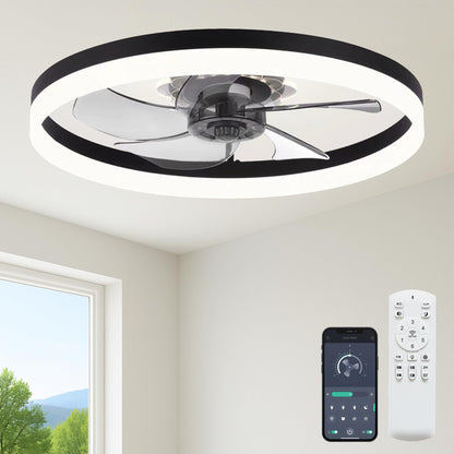 20" Ceiling Fan with Light