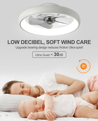 20" Black Ceiling Fan Light