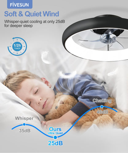20" Black Ceiling Fan Light