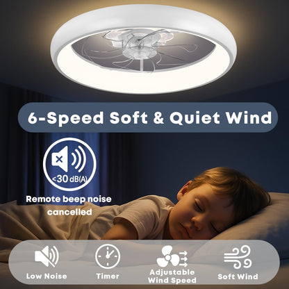 20" Ceiling Fan with Light