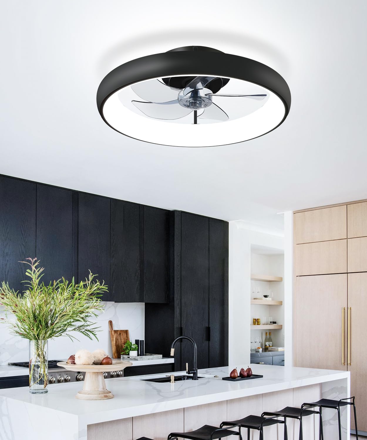 20" Black Ceiling Fan Light
