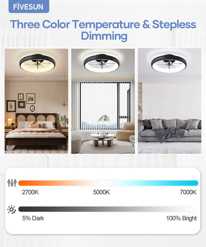 20" Black Ceiling Fan Light