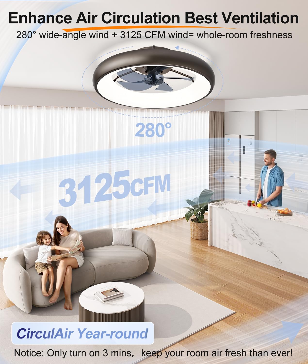 20" Black Ceiling Fan Light