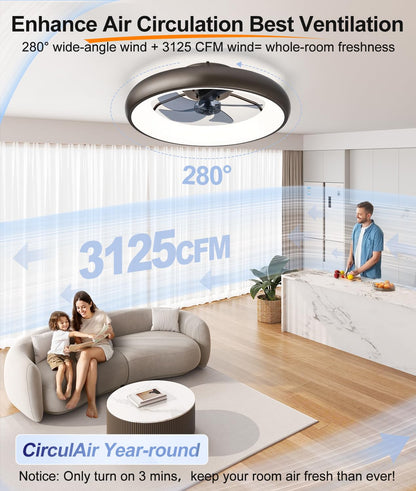 20" Black Ceiling Fan Light