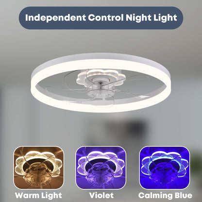 20" Ceiling Fan with Light
