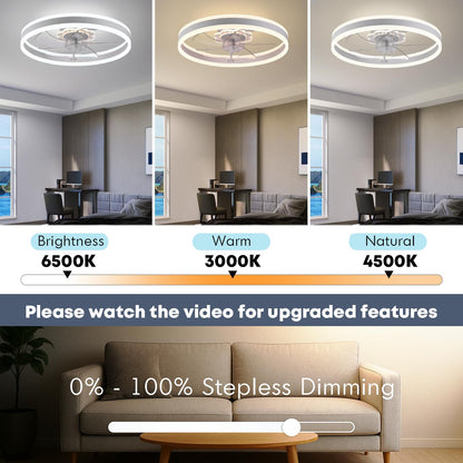 20" Ceiling Fan with Light