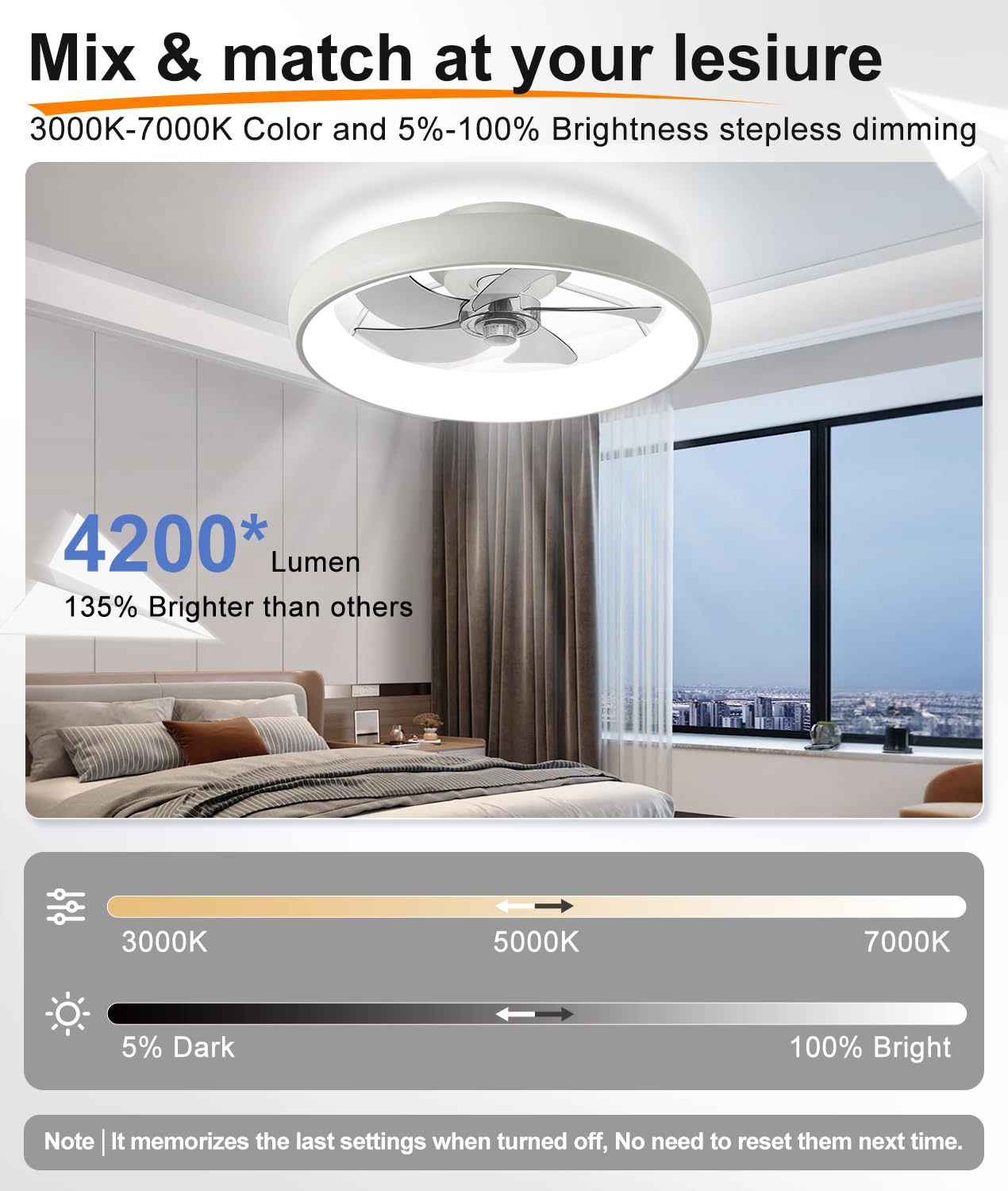 20" Black Ceiling Fan Light