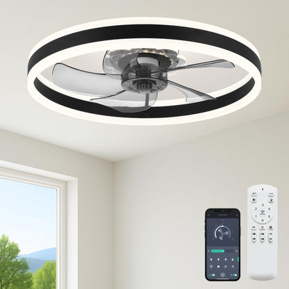 20" Ceiling Fan with Light