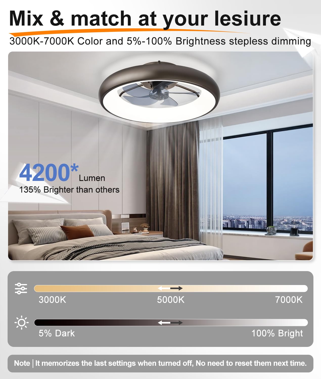 20" Black Ceiling Fan Light