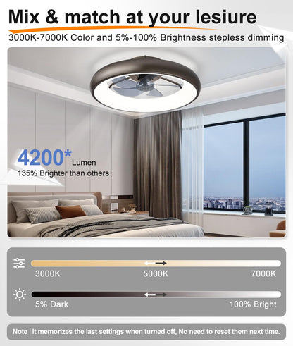 20" Black Ceiling Fan Light