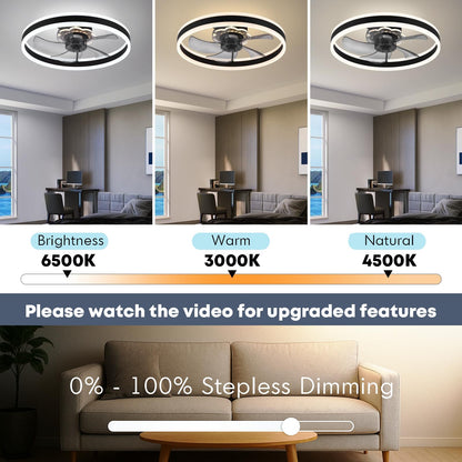 20" Ceiling Fan with Light