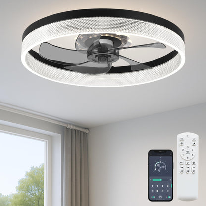 20" Ceiling Fan with Light