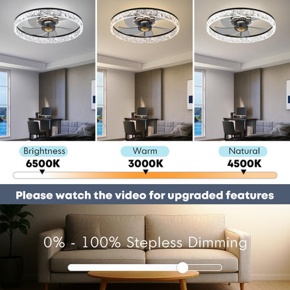 20" Ceiling Fan with Light