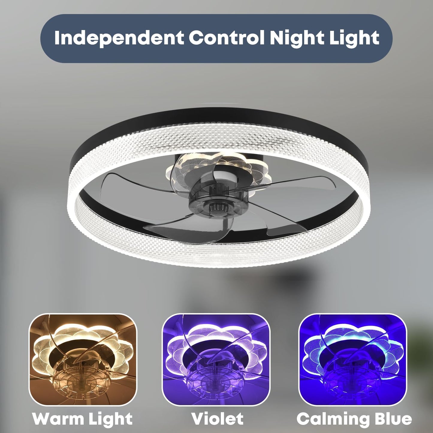 20" Ceiling Fan with Light