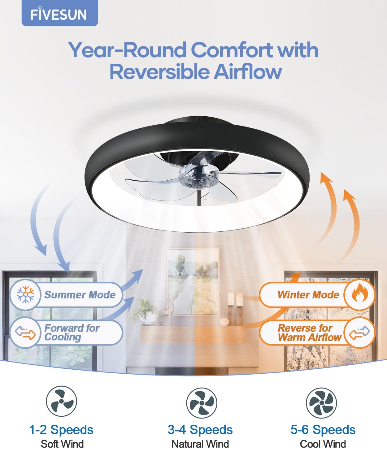 20" Black Ceiling Fan Light