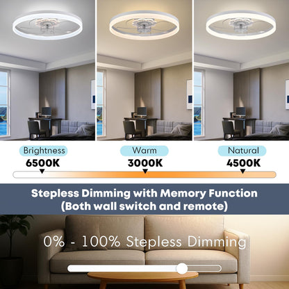 20" Ceiling Fan with Light