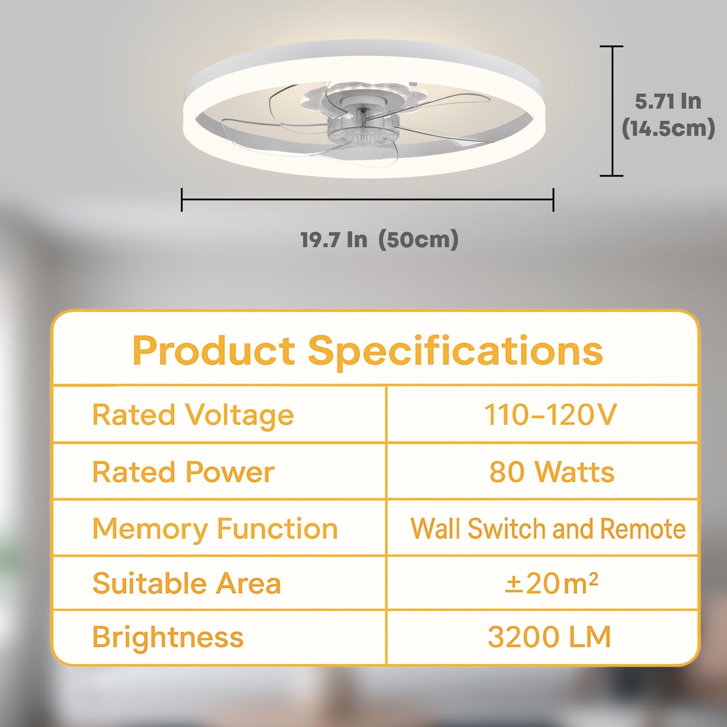 20" Ceiling Fan with Light