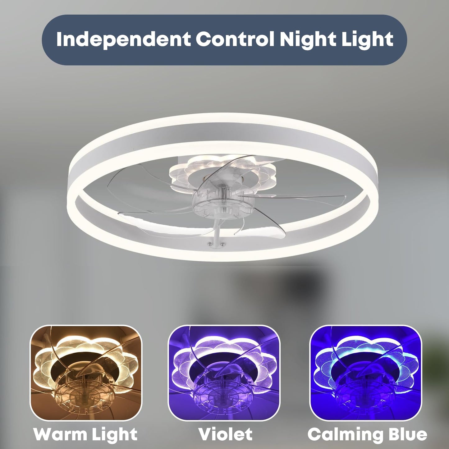20" Ceiling Fan with Light