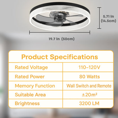 20" Ceiling Fan with Light