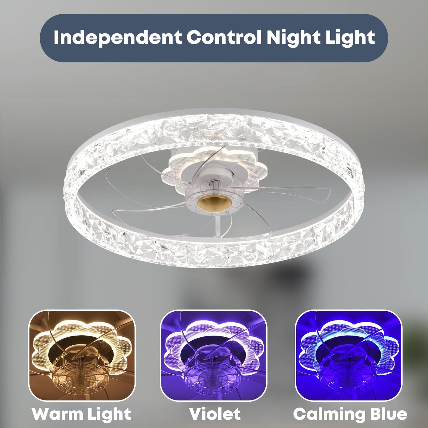 20" Ceiling Fan with Light