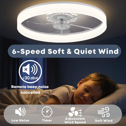 20" Ceiling Fan with Light