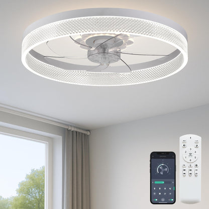 20" Ceiling Fan with Light