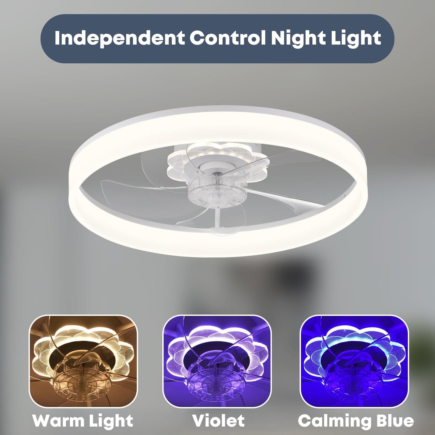20" Ceiling Fan with Light