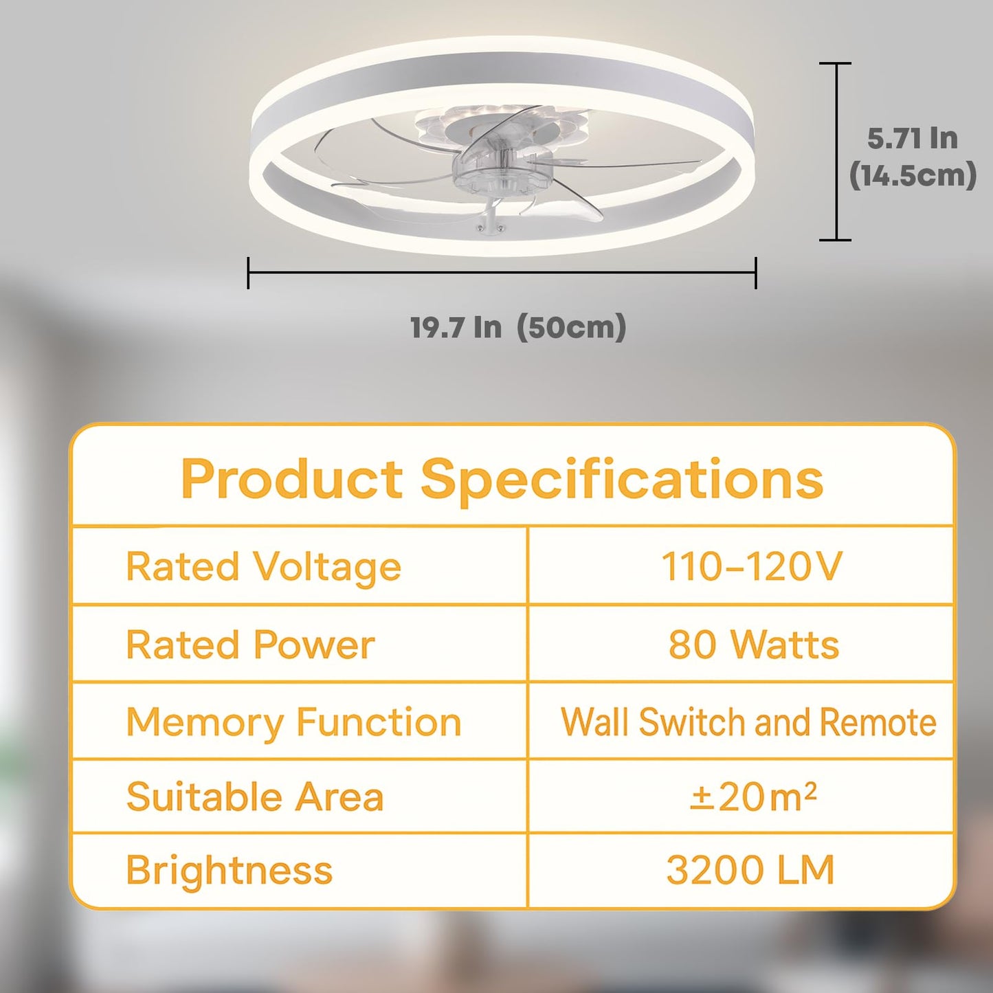 20" Ceiling Fan with Light