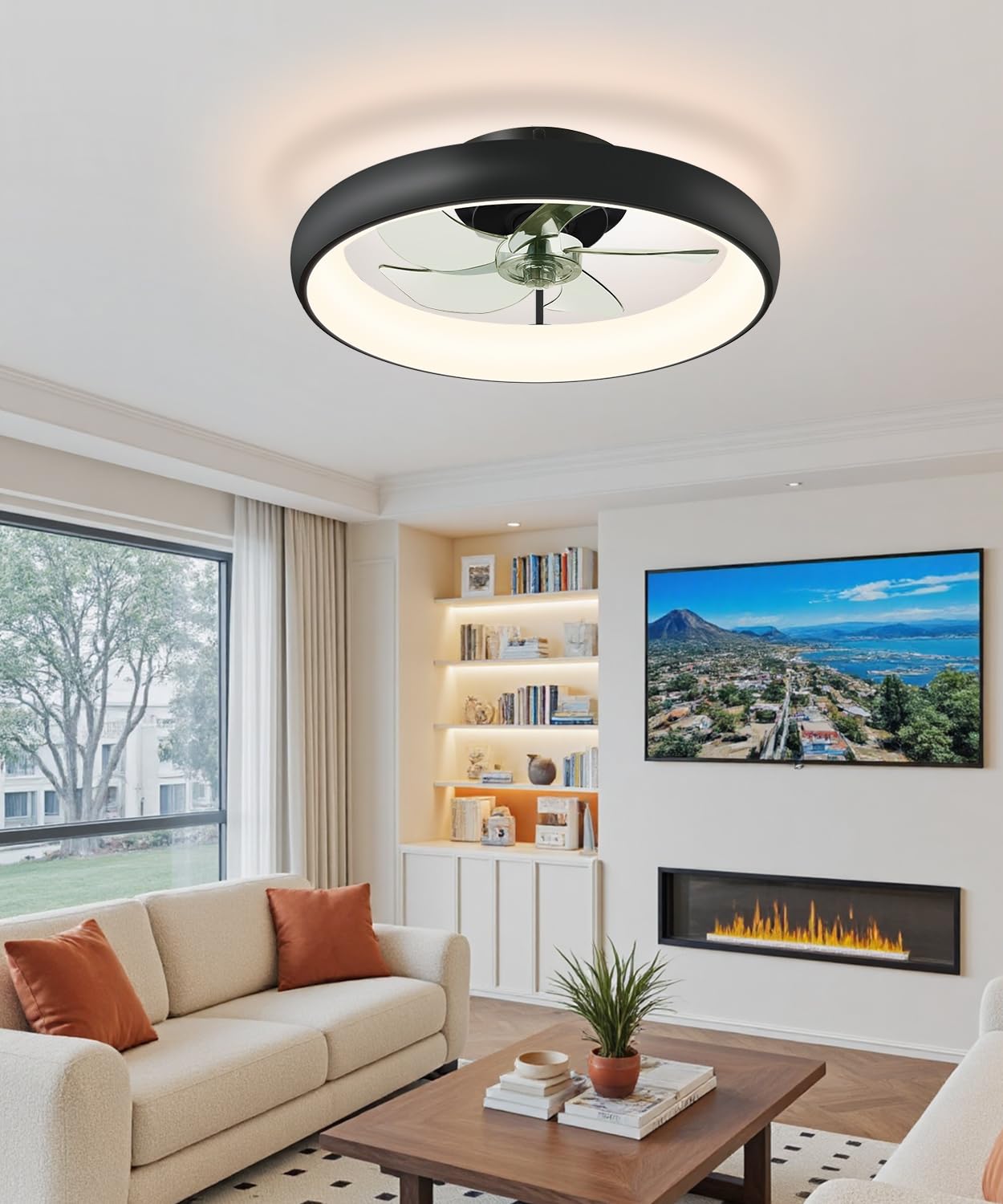 20" Black Ceiling Fan Light