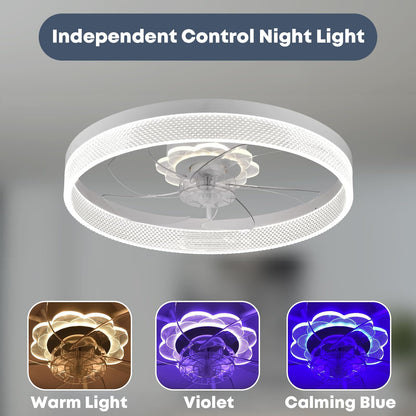 20" Ceiling Fan with Light