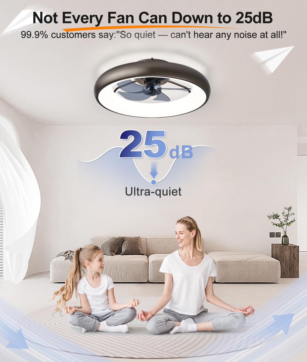 20" Black Ceiling Fan Light