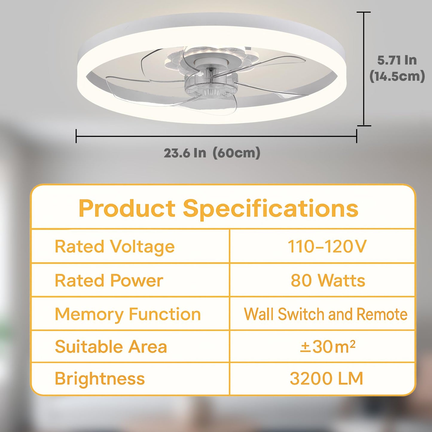 20" Ceiling Fan with Light