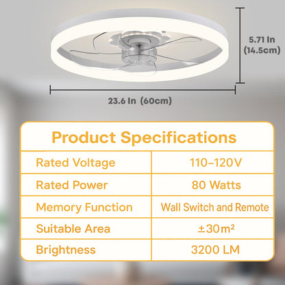 20" Ceiling Fan with Light