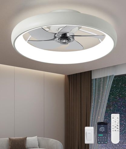 20" Black Ceiling Fan Light