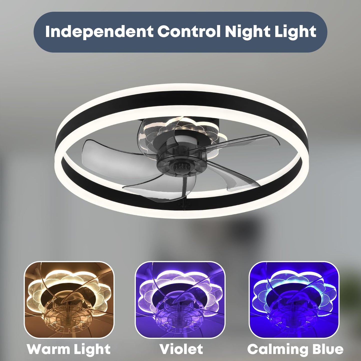 20" Ceiling Fan with Light