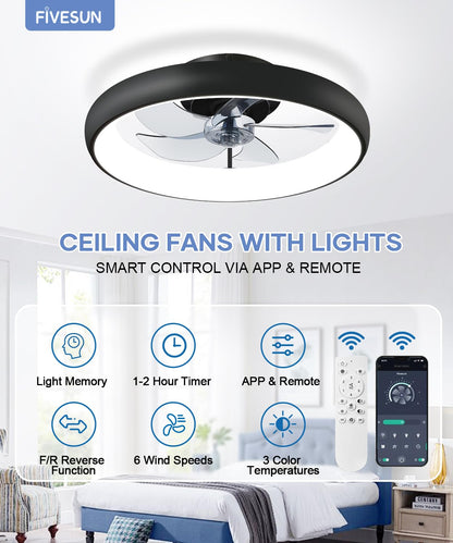 20" Black Ceiling Fan Light