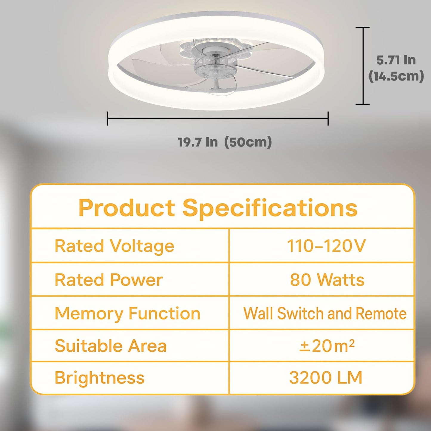 20" Ceiling Fan with Light