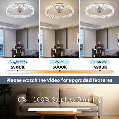 20" Ceiling Fan with Light