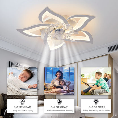 Ceiling Fan Light – Dimmable