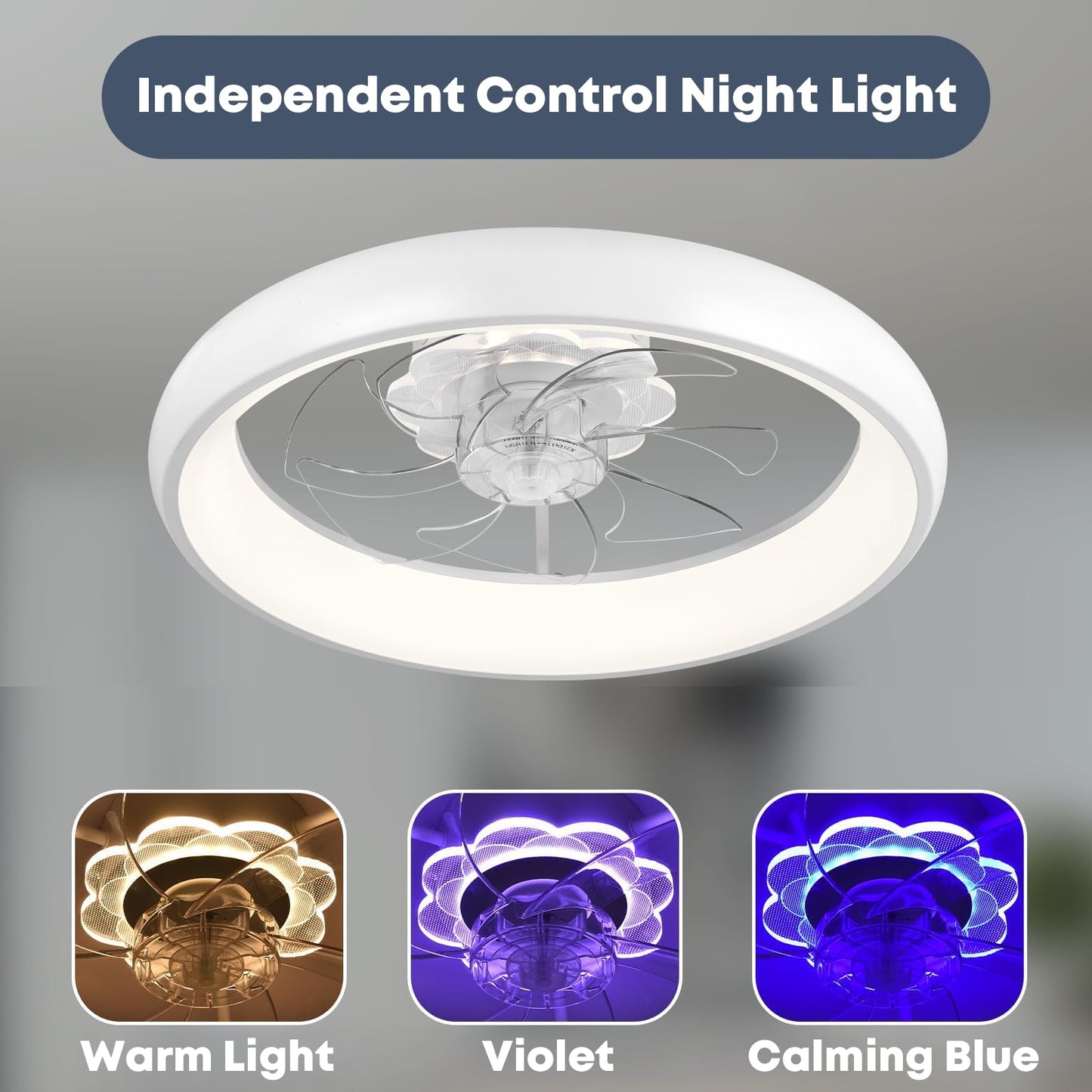 20" Ceiling Fan with Light