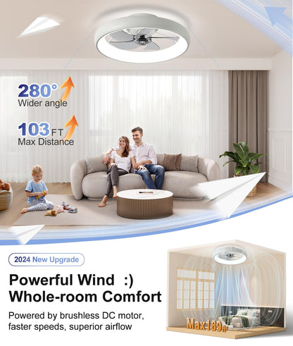 20" Black Ceiling Fan Light