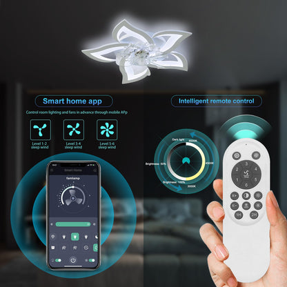 Ceiling Fan Light – Dimmable