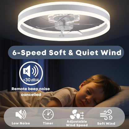 20" Ceiling Fan with Light