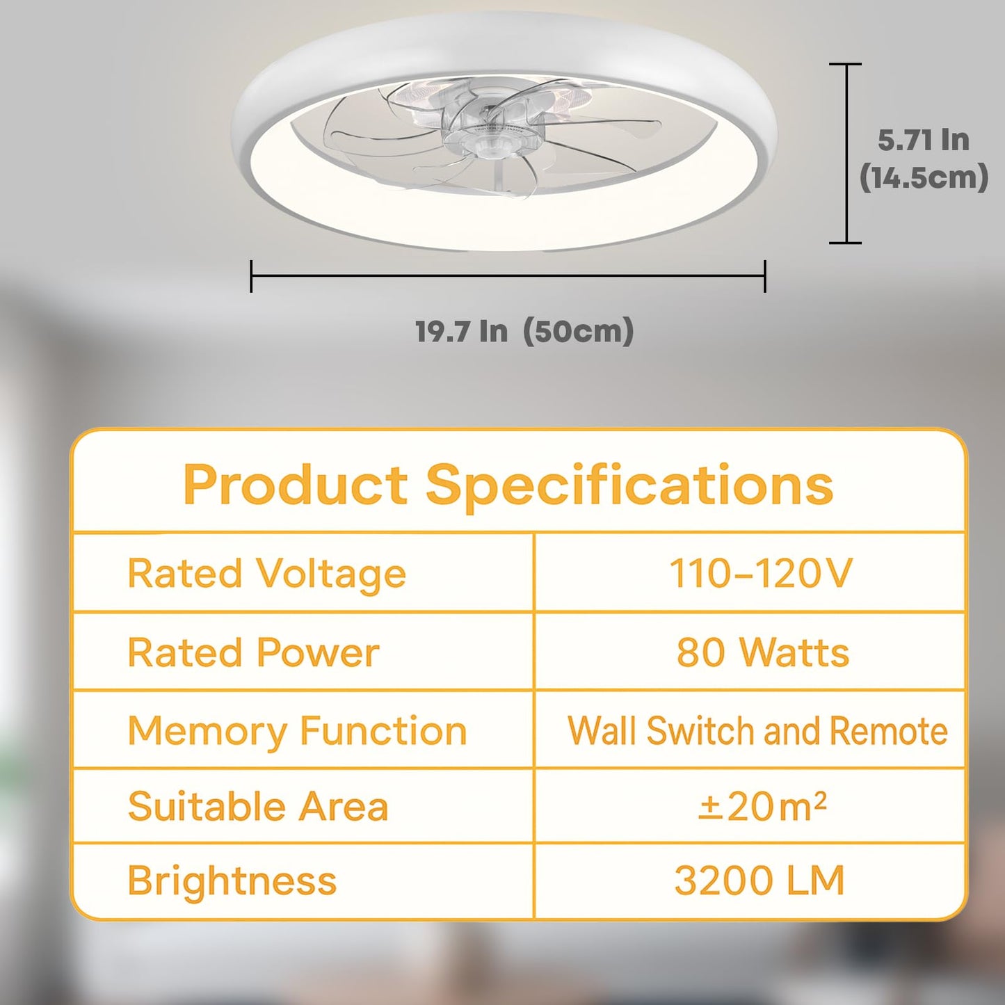 20" Ceiling Fan with Light